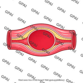 Elastic artery distended