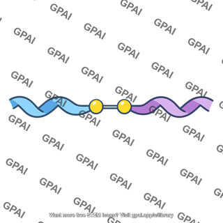 Disulfide bond
