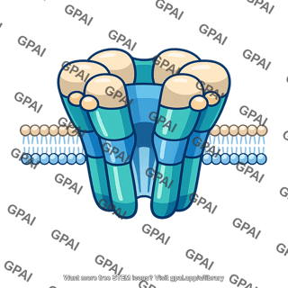 Acetylcholine receptor open