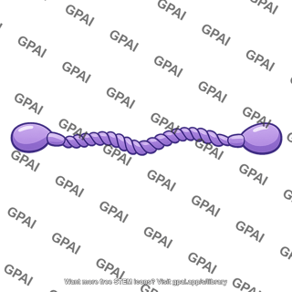 Myosin heavy chain