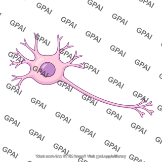 Thirst center neuron