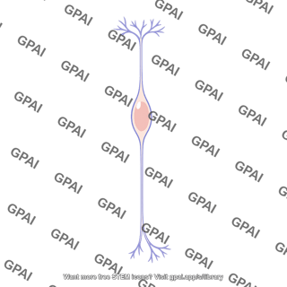 Bipolar cell