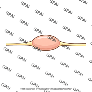 Spinal ganglion