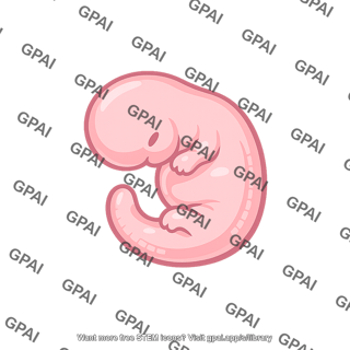 Embryo early