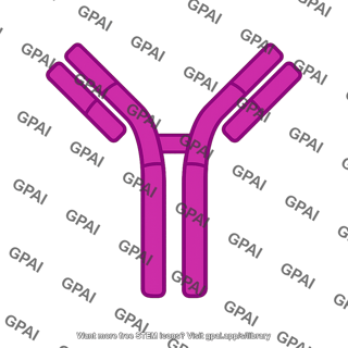 Antibody icon
