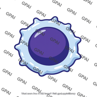 Activated t cell