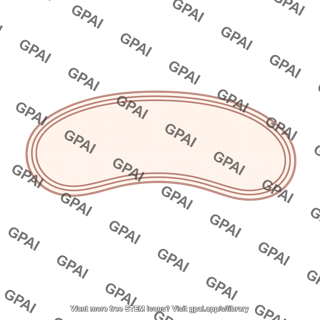 Outer membrane mitochondrial