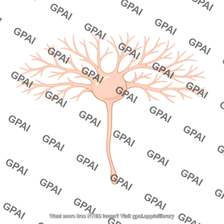 Retinal ganglion cell type m