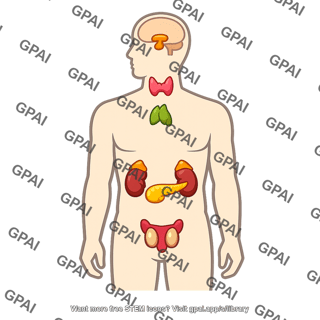 Endocrine system