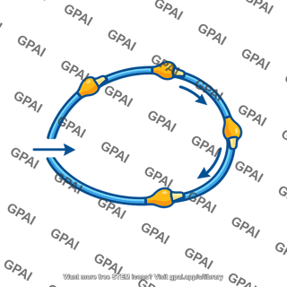 Recurrent pathway