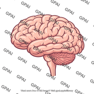 Human brain