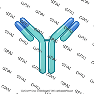 Antibody