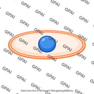 Excitable cell