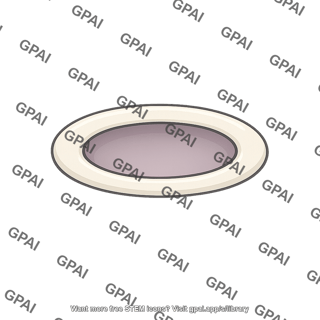 Oval window bony fenestra