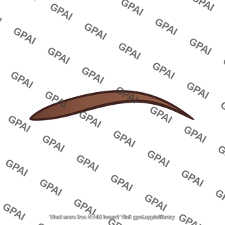 Eyebrow