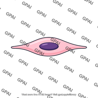 Stromal cell