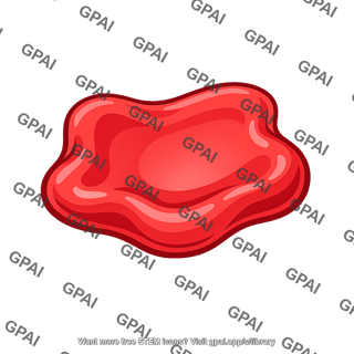 Red blood cell abnormal
