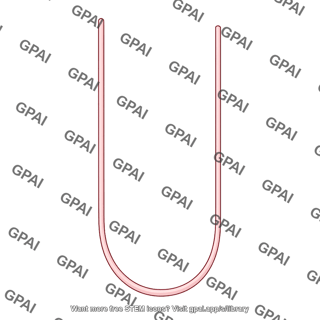 Thin segment of loop of henle