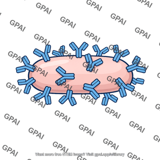 Bacterium antibody coated