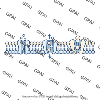 Selectively permeable membrane