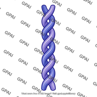 Double helix myosin tail