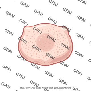 Neuron soma