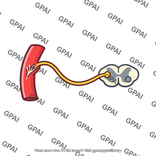 Baroreceptor reflex