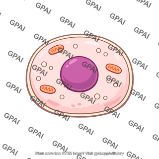 Human cell