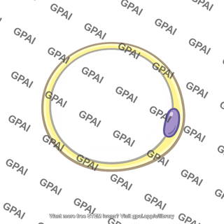 Adipose cell