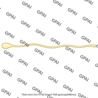 Type c nerve fiber