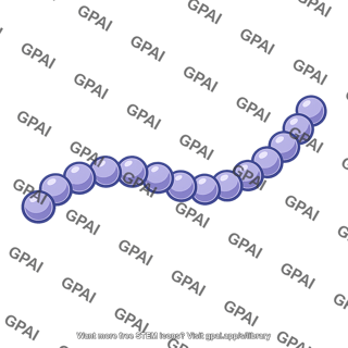 Streptococcal bacterium
