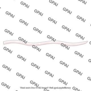 Collagen fibril