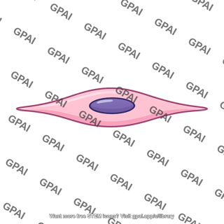 Spindle cell