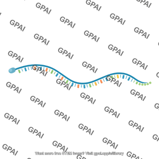 Messenger rna