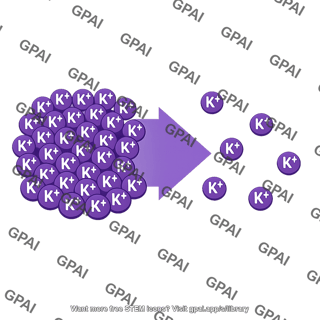 Potassium ionic gradient