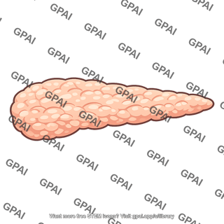 Animal pancreas