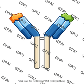 Antibody antigen complex