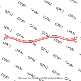 Fibrin fiber