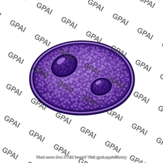 Cell nucleus dense