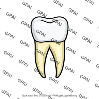 Tooth extracted