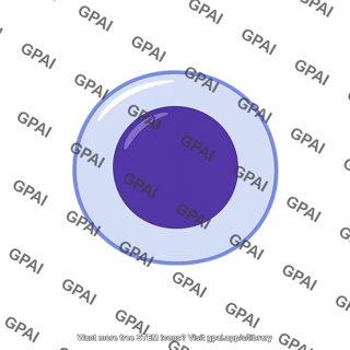 Monocytic stem cell