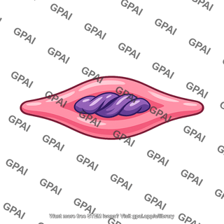 Smooth muscle cell contracted