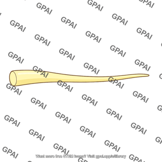 Unmyelinated nerve tip