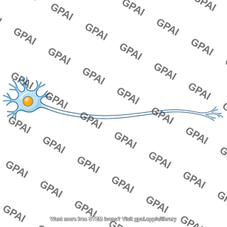 Ganglion cell axon