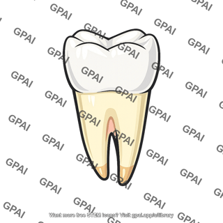 Upper tooth