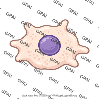 Reticuloendothelial phagocyte