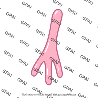 Podocyte foot process