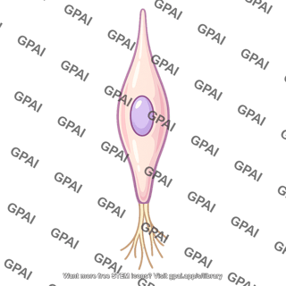 Taste cell