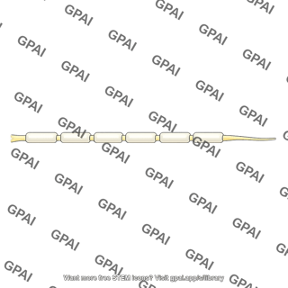 Gamma motor fiber