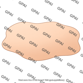 Skin area large